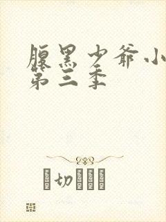 腹黑少爷小甜妻第三季