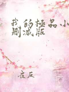 我的极品小姨无删减版