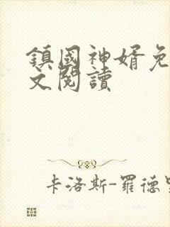 镇国神婿免费全文阅读