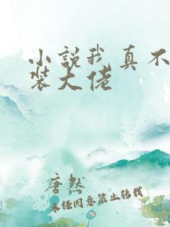 小说我真不是女装大佬