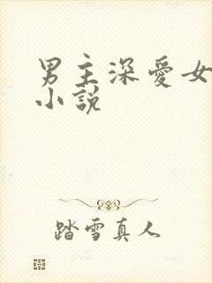 男主深爱女主的小说