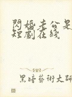 闪婚老公是总裁短剧在线