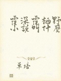 霍深霍栖野夏稚小说叫什么名字