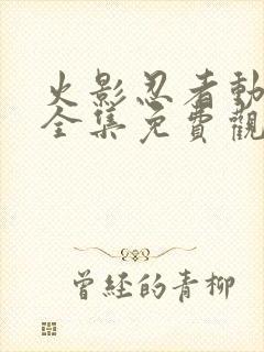 火影忍者动画片全集免费观看