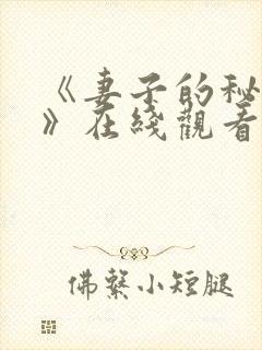 《妻子的秘密2》在线观看