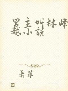 男主叫林峰的穿越小说