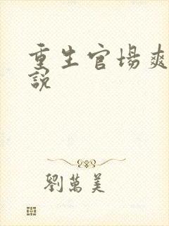 重生官场爽文小说