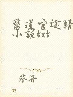 医道官途精校版小说txt