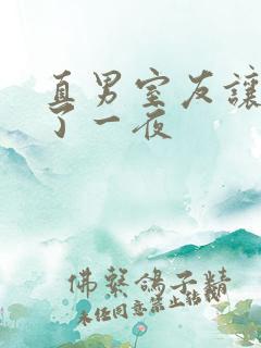 直男室友让我爽了一夜