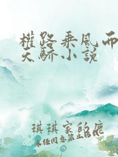 权路乘风而起化天骄小说