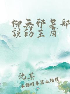 柳无邪是哪本小说的主角