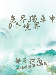 万界独尊中的10个境界