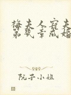 梅夫人宠夫日常第几章成婚