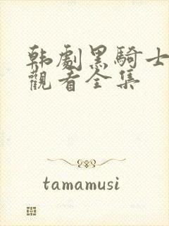 韩剧黑骑士免费观看全集