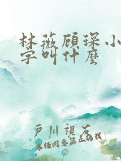 林薇顾琛小说名字叫什么