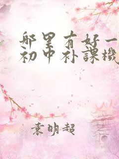 哪里有好一点的初中补课机构