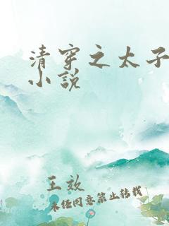 清穿之太子娇妃小说