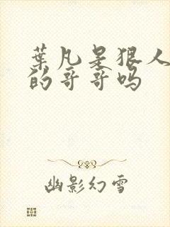 叶凡是狠人大帝的哥哥吗