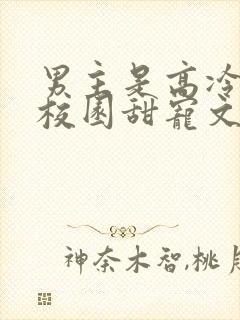 男主是高冷校草校园甜宠文