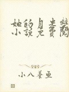 她的月光双女主小说免费阅读