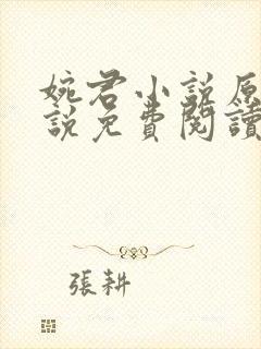 婉君小说原著小说免费阅读