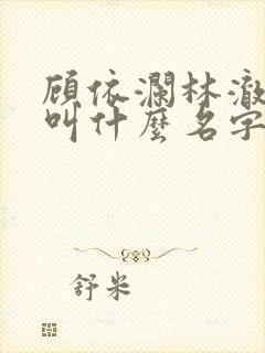 顾依澜林澈小说叫什么名字