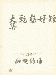 大乾憨婿短剧合集