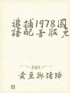 追捕1978国语配音版免费观看