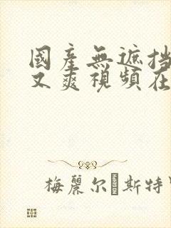 国产无遮挡又黄又爽视频在线播放