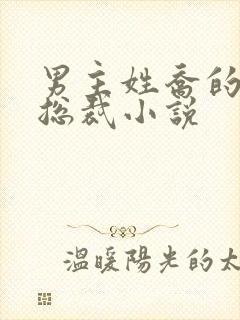 男主姓乔的霸道总裁小说