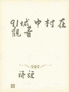 91城中村在线观看