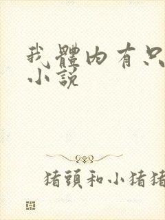 我体内有只鬼的小说