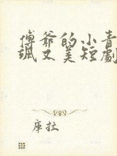 傅爷的小青梅又飒又美短剧合集