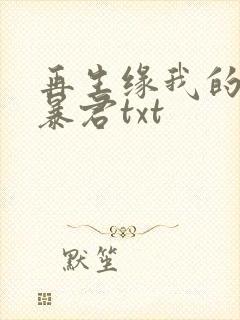 再生缘我的温柔暴君txt