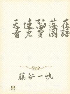 天使陷落在线观看免费国语完整版