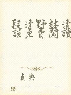 段清野林清瑶小说免费阅读完整版