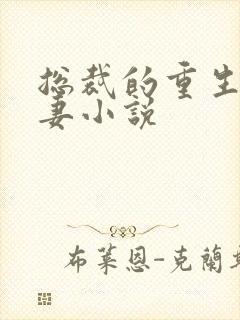 总裁的重生腹黑妻小说