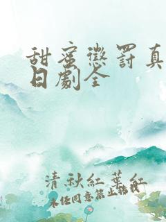 甜蜜惩罚真人版日剧全