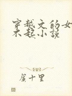 穿越文的女主伤不起小说