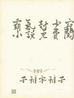 霸气封少宠妻忙小说免费阅读