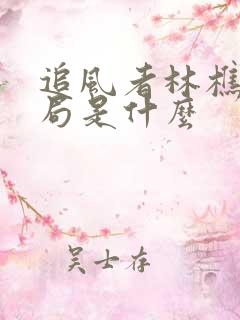 追风者林樵松结局是什么