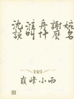 沈淮舟谢婉宁小说叫什么名字