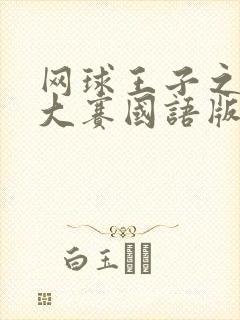 网球王子之全国大赛国语版在线观看