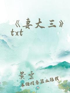 《妻大三》小说txt