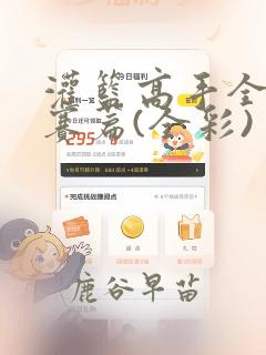 灌篮高手全国大赛篇(全彩)：结局+番外