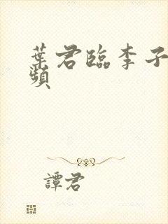 叶君临李子染视频