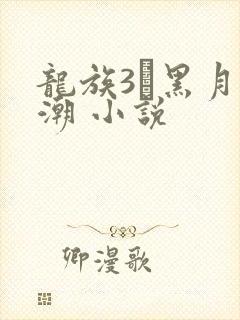 龙族3·黑月之潮 小说