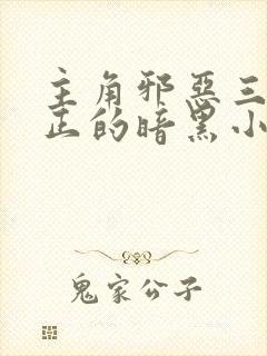 主角邪恶三观不正的暗黑小说