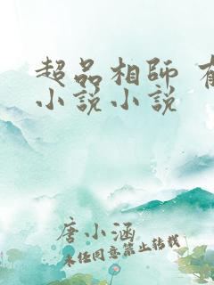 超品相师 有声小说小说