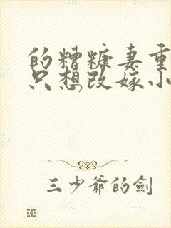 的糟糠妻重生后只想改嫁小说